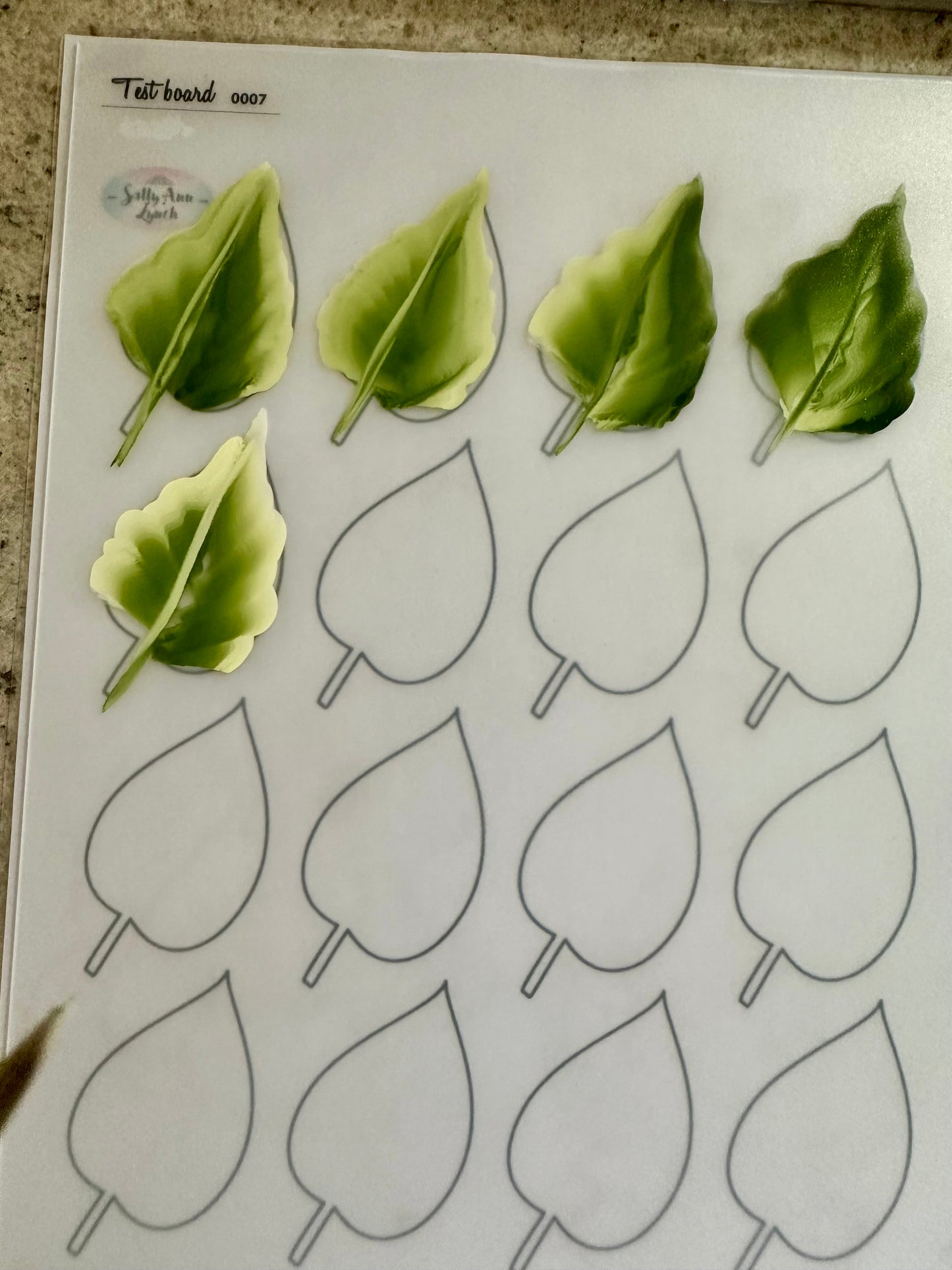 FACE PAINTING TEMPLATES 6 x15 (Flowers & leaves)