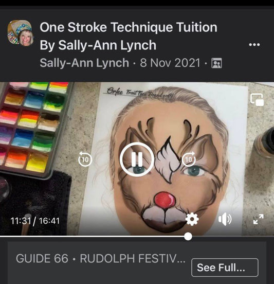 6 months Online Onestroke Tuition Pre-Recorded  tutorials with Sally-Ann Lynch