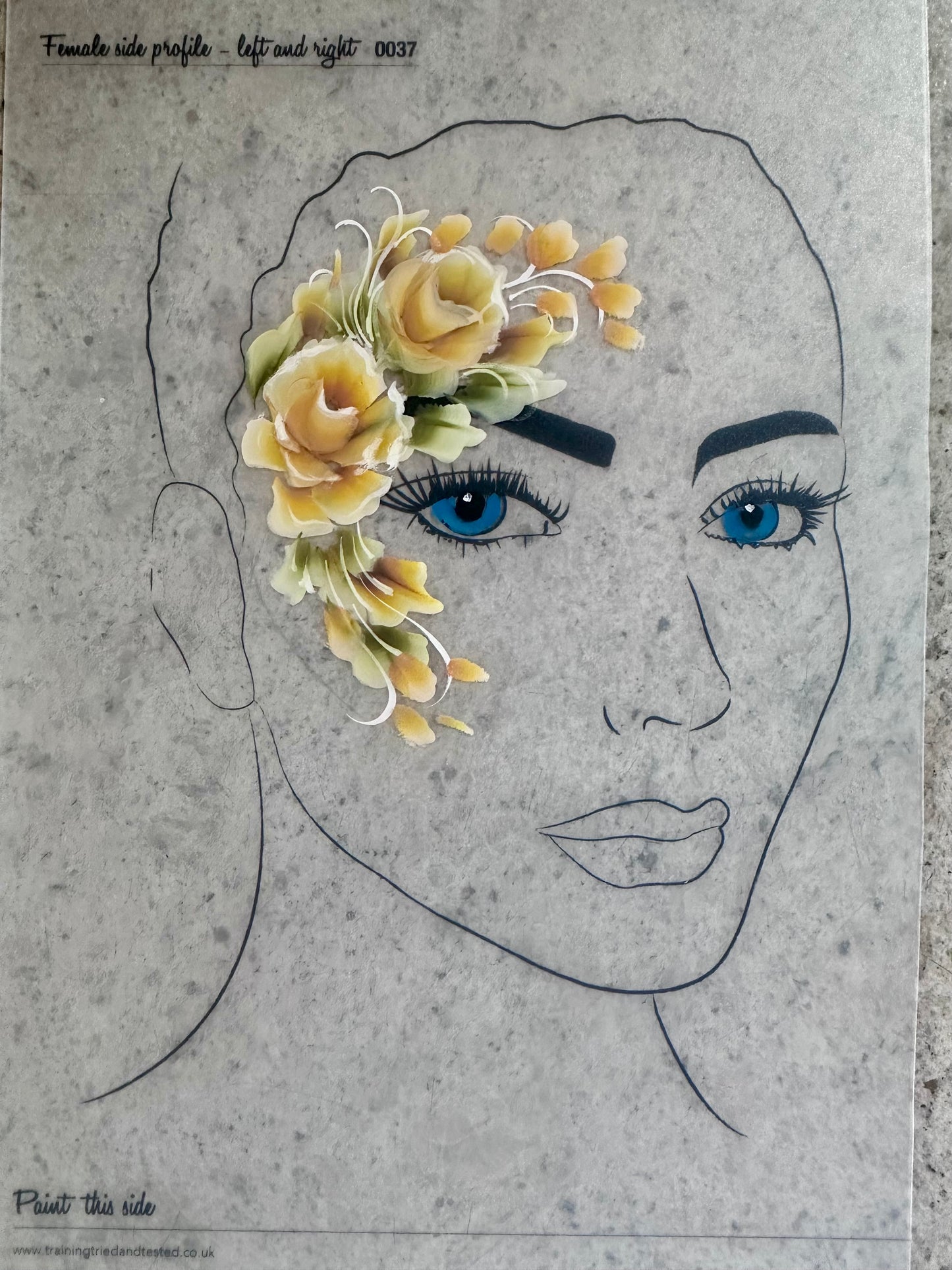 All The Colours-  Onestroke face painting palette