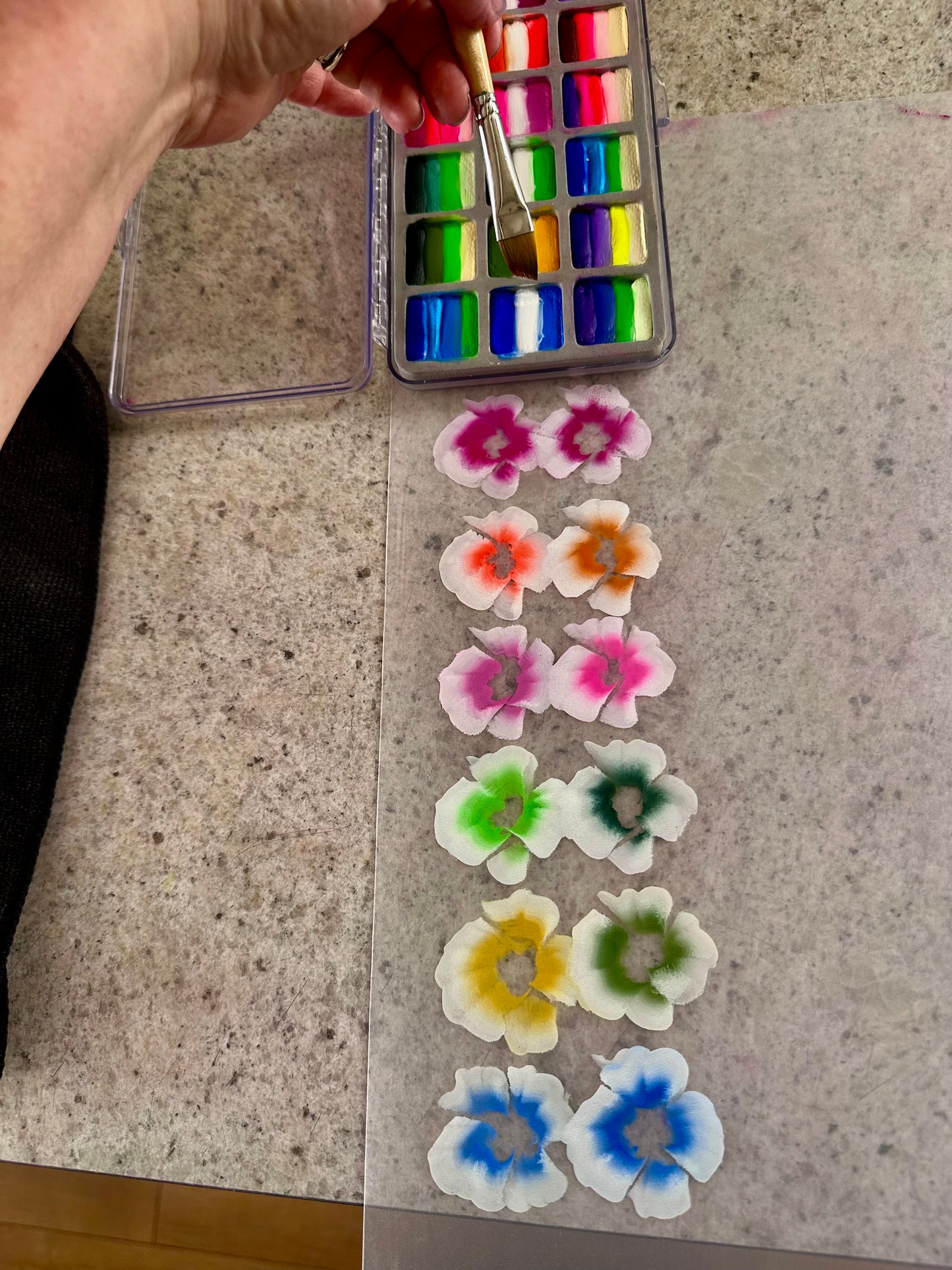 Jazzy -  Onestroke face painting palette