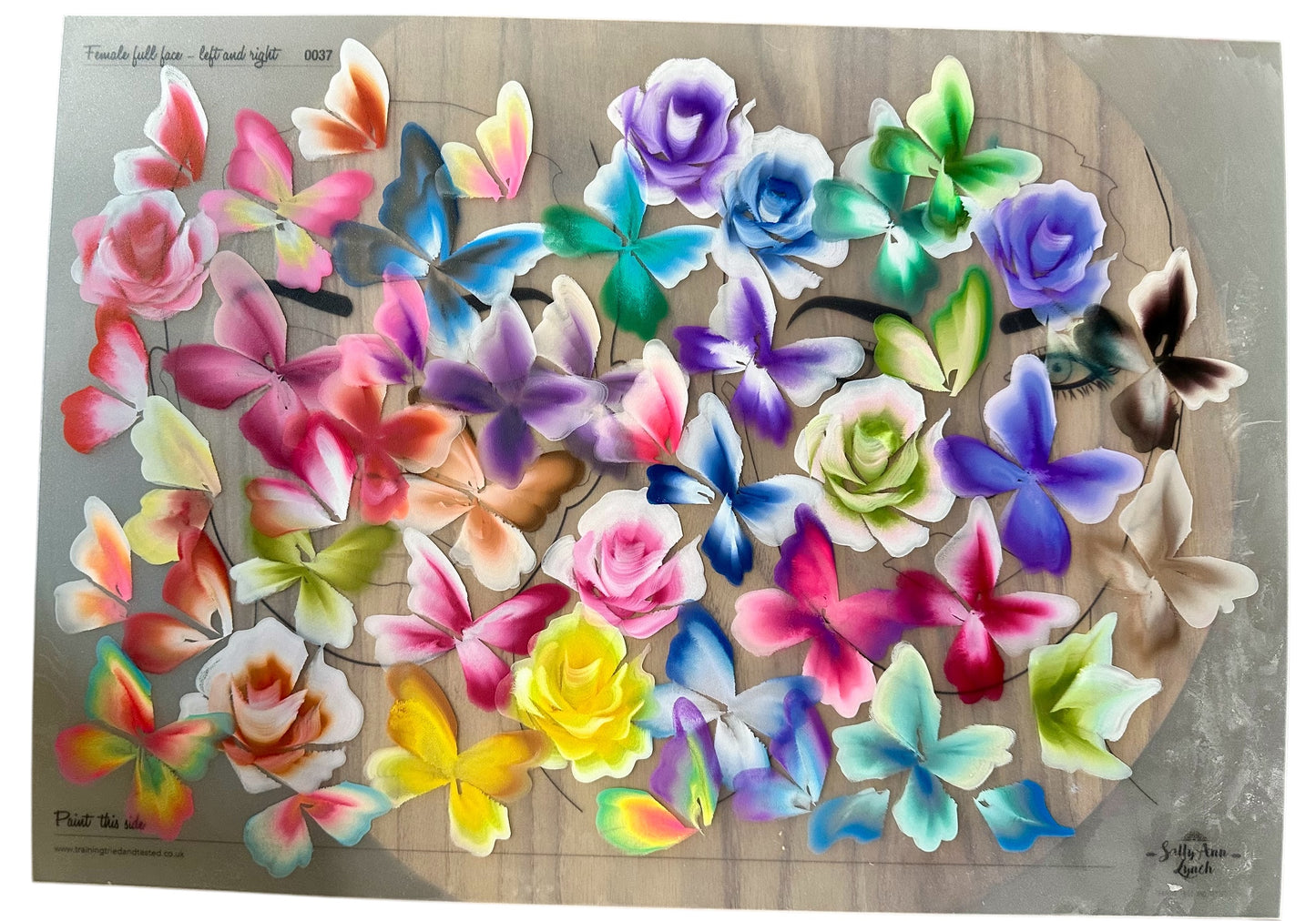Eight colour Bespoke  Onestroke face painting Palette by Sally-Ann Lynch